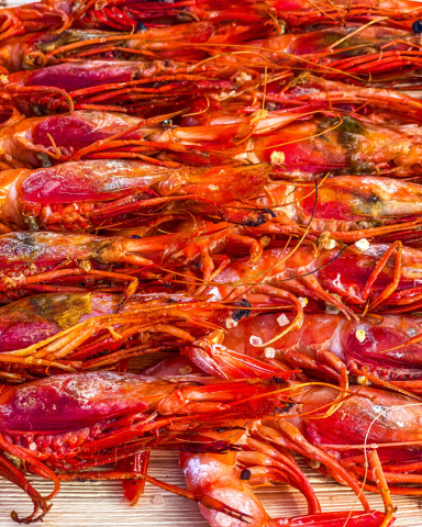 Gambas frescas cocinadas a la brasa en la Ofyr, servidas con un toque gourmet y presentadas en un evento elegante al aire libre.